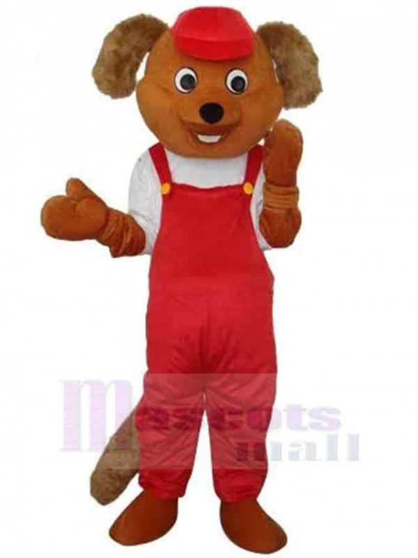 Ours costume de mascotte
