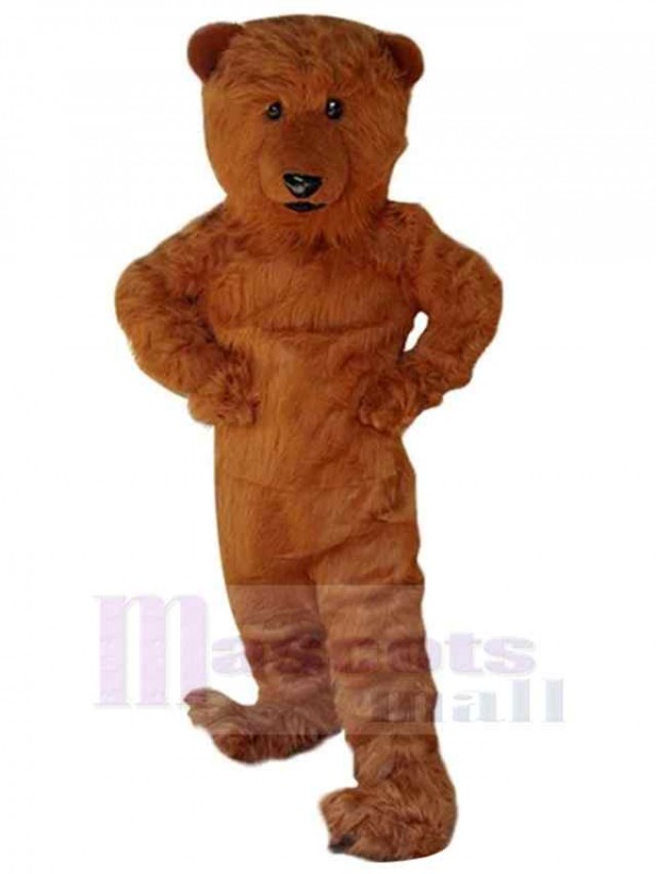 Ours costume de mascotte