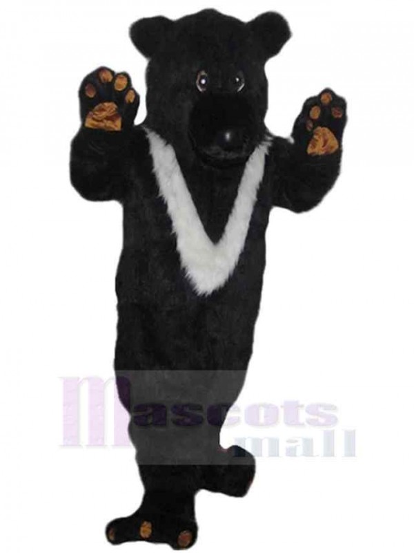 Ours costume de mascotte