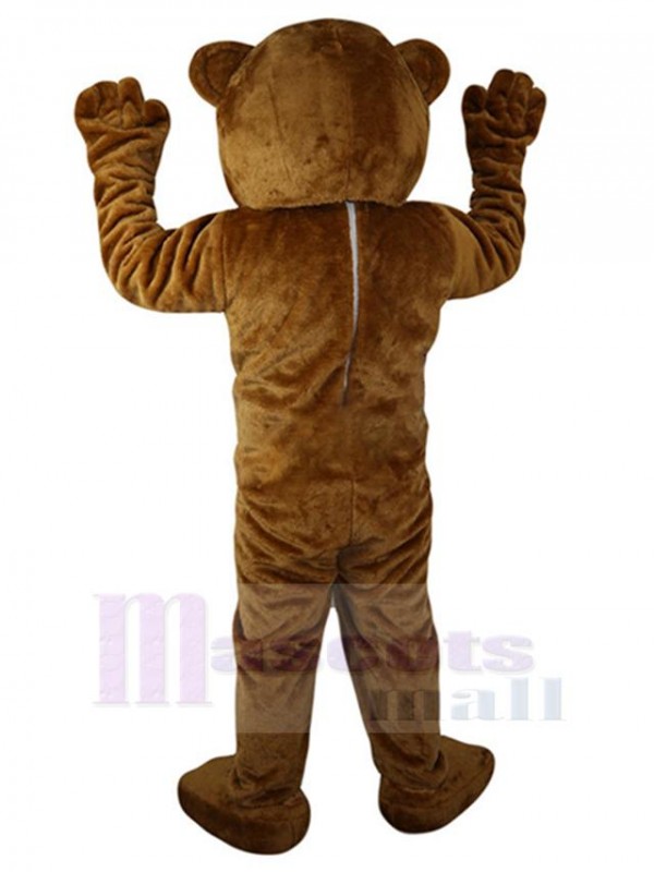 Ours costume de mascotte