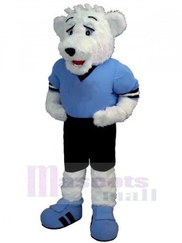 Ours costume de mascotte