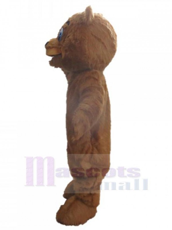 Ours costume de mascotte