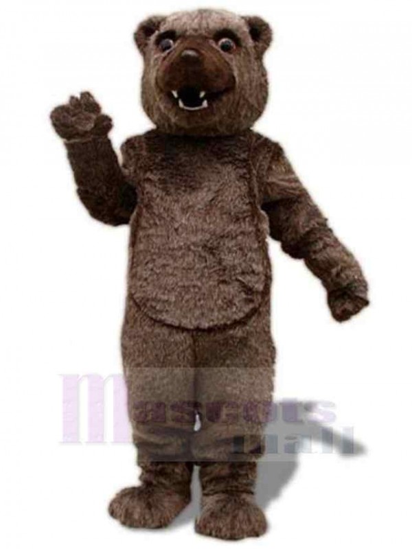 Ours costume de mascotte