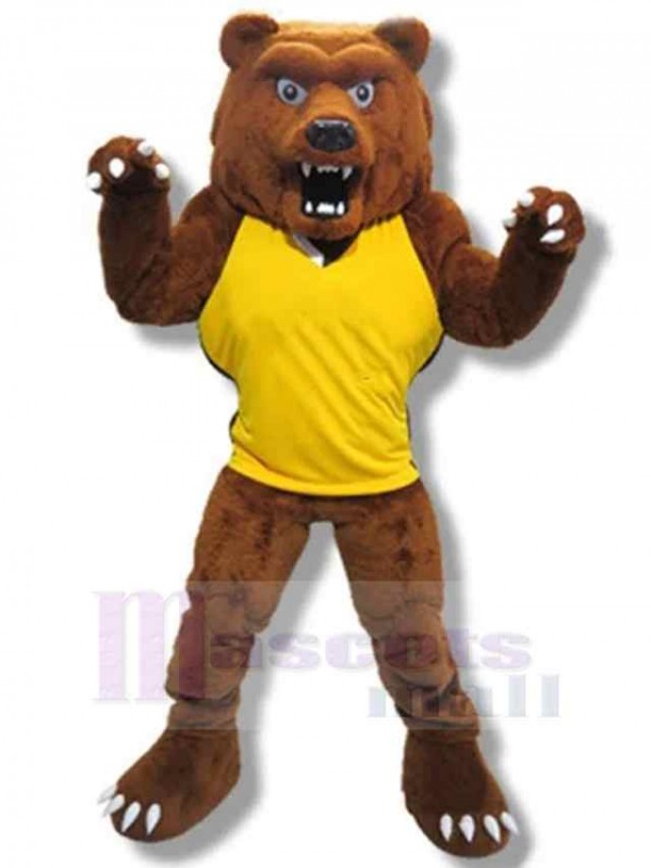 Ours costume de mascotte