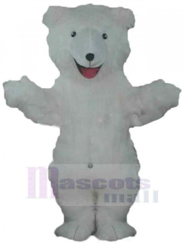 Ours costume de mascotte