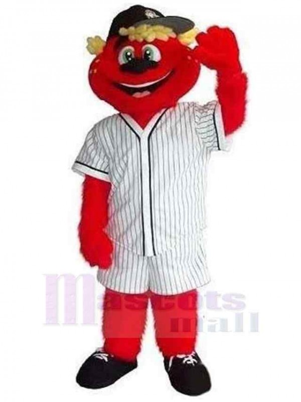Ours costume de mascotte