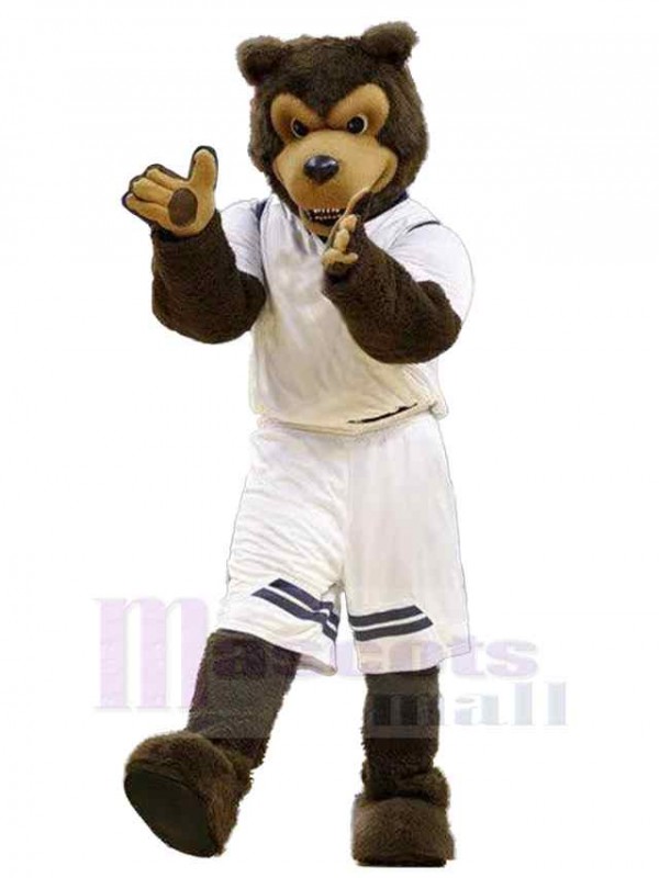 Ours costume de mascotte