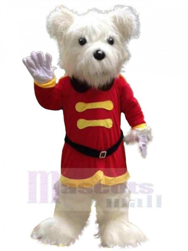 Ours costume de mascotte