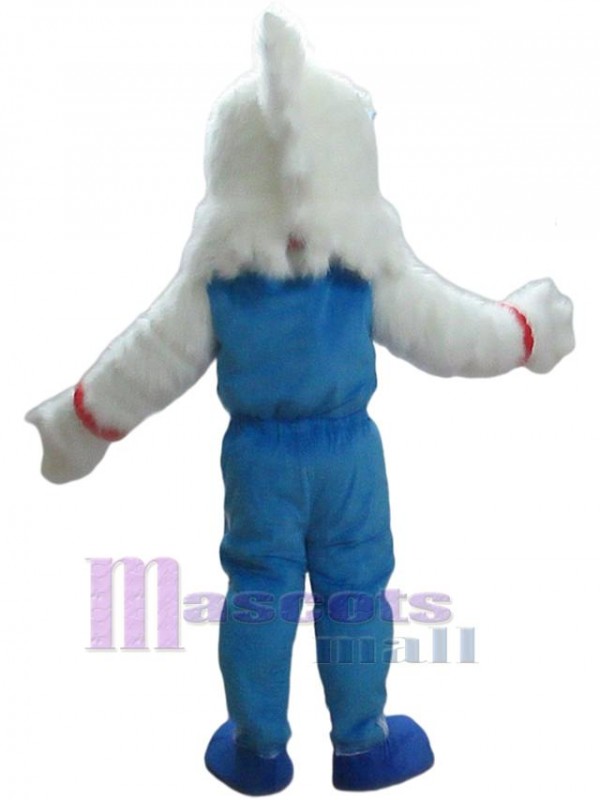 Aigle costume de mascotte