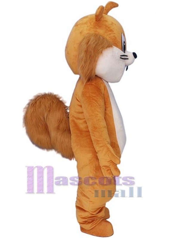 Chipmunk costume de mascotte