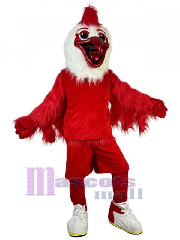 Oiseau costume de mascotte