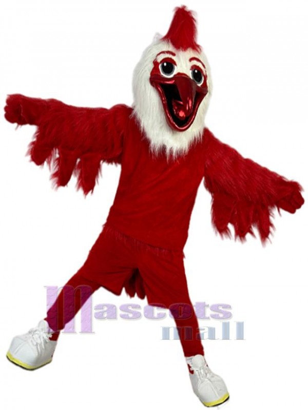 Oiseau costume de mascotte
