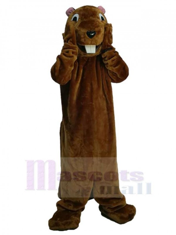 Marmotte costume de mascotte
