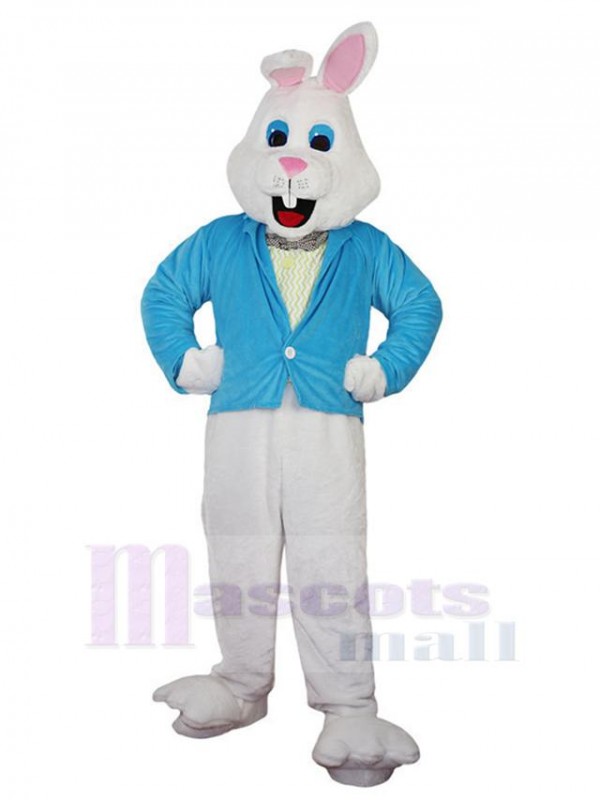 Lapin costume de mascotte