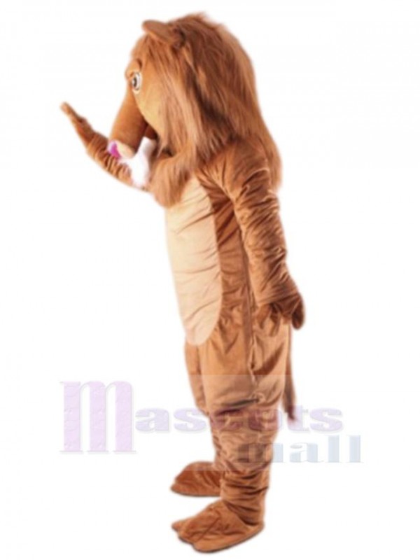 Lion costume de mascotte