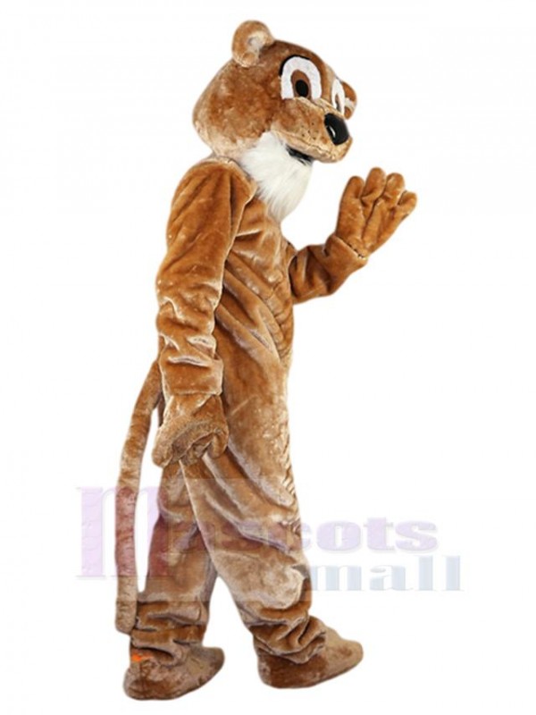 Lion costume de mascotte