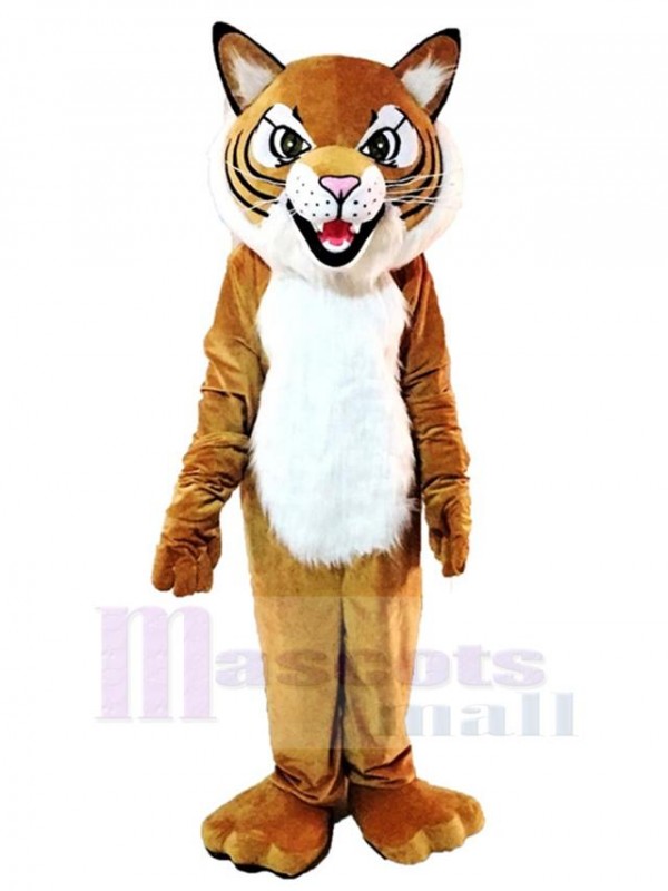 Tigre costume de mascotte