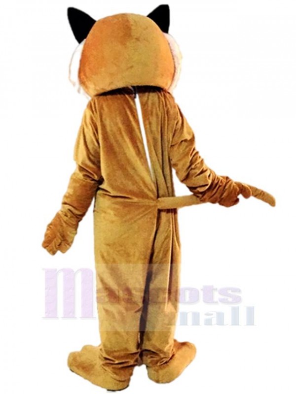 Tigre costume de mascotte