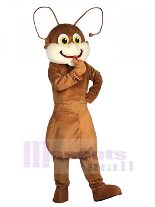 Fourmi costume de mascotte