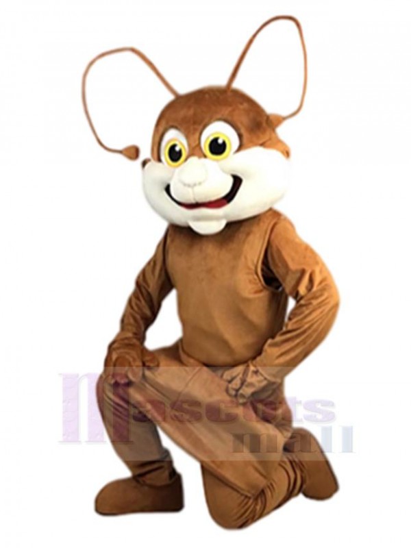 Fourmi costume de mascotte