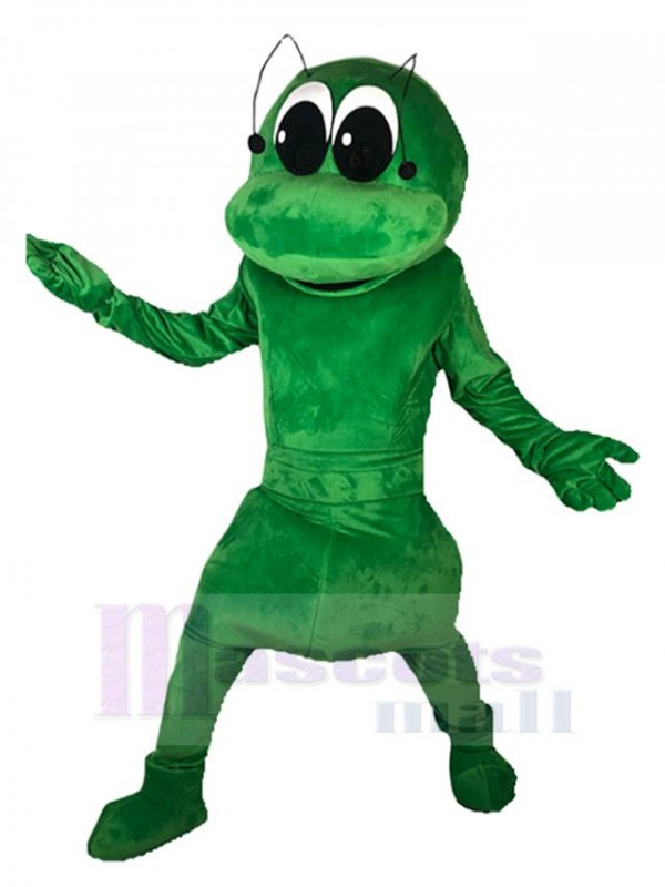 Fourmi costume de mascotte