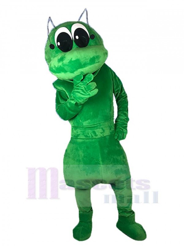 Fourmi costume de mascotte