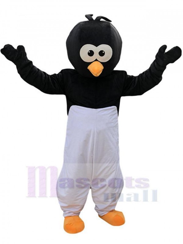 Oiseau costume de mascotte
