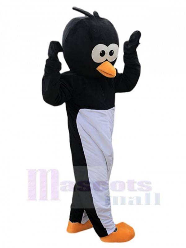 Oiseau costume de mascotte
