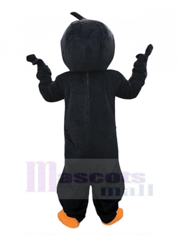 Oiseau costume de mascotte