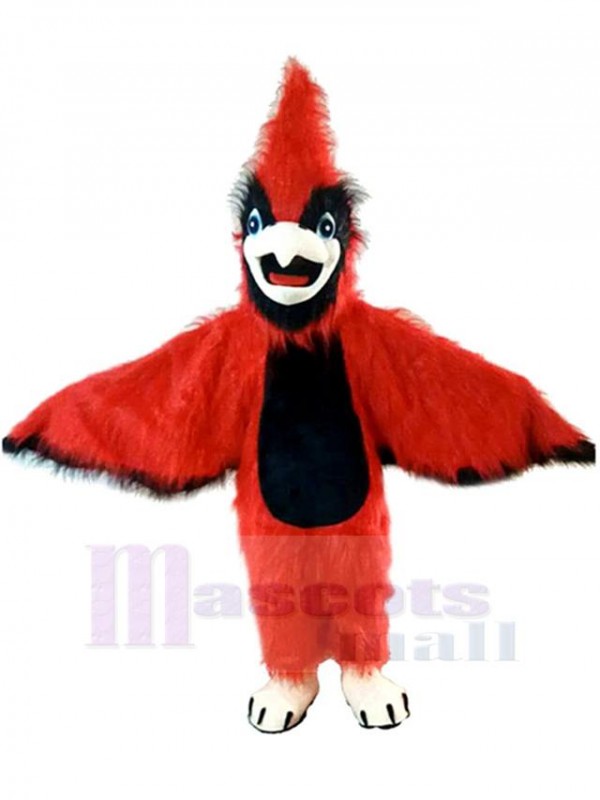 Oiseau costume de mascotte