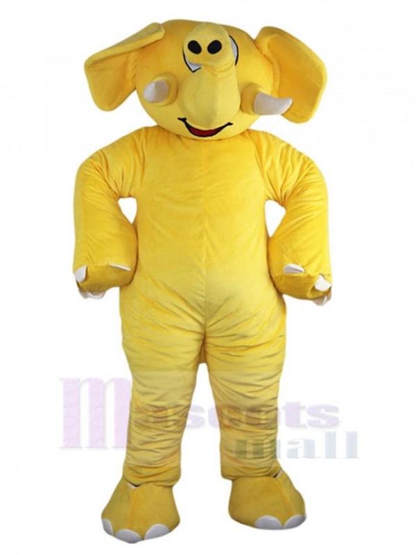 Éléphant costume de mascotte