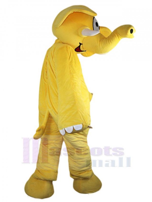 Éléphant costume de mascotte