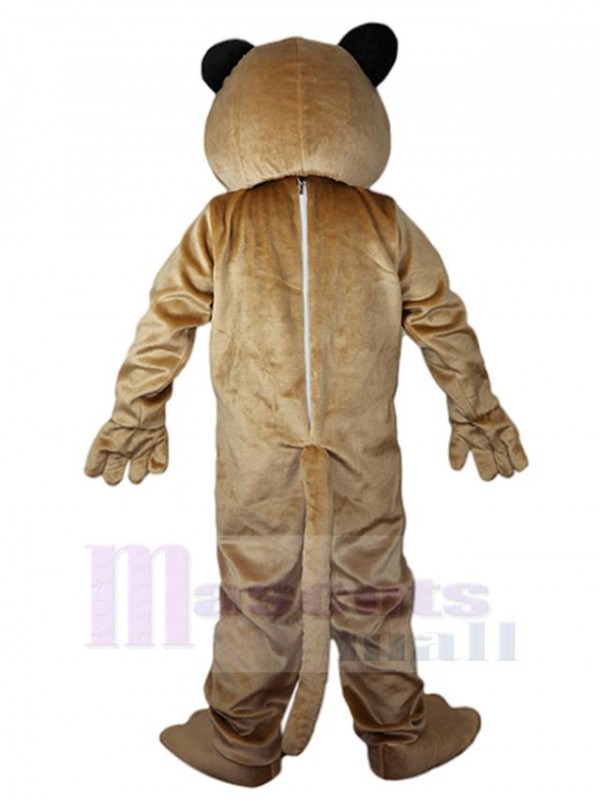 Léopard costume de mascotte