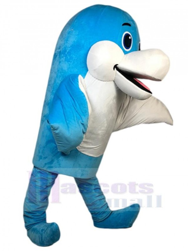 Dauphin costume de mascotte
