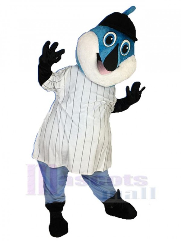 Dauphin costume de mascotte
