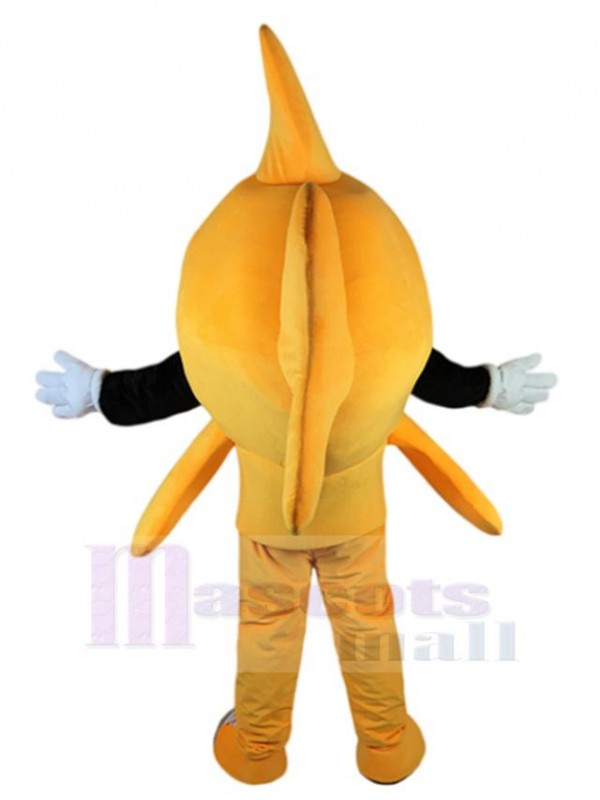 Poisson costume de mascotte