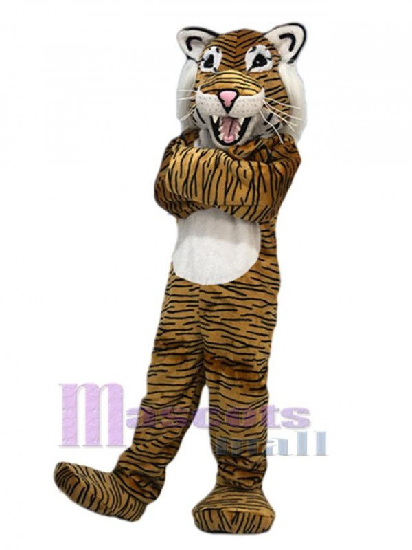 Tigre costume de mascotte