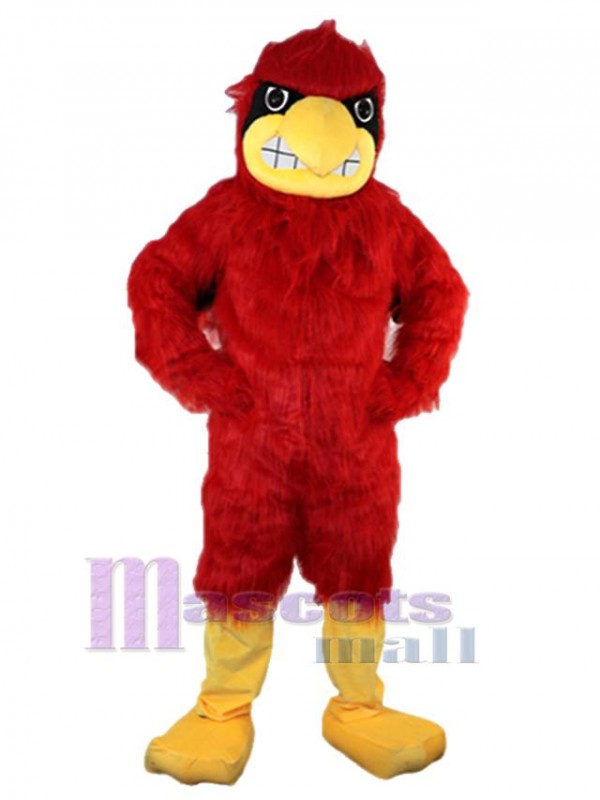 Aigle costume de mascotte
