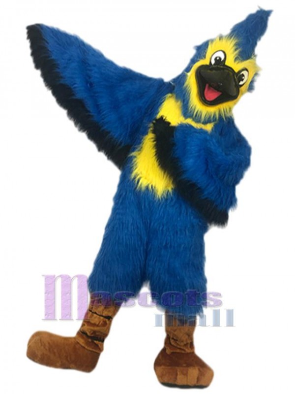 Aigle costume de mascotte
