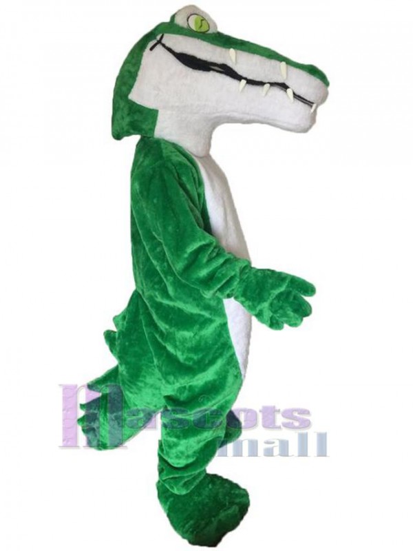 Crocodile costume de mascotte
