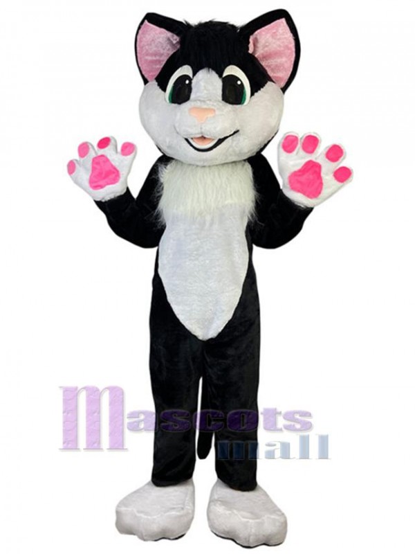 Chat costume de mascotte