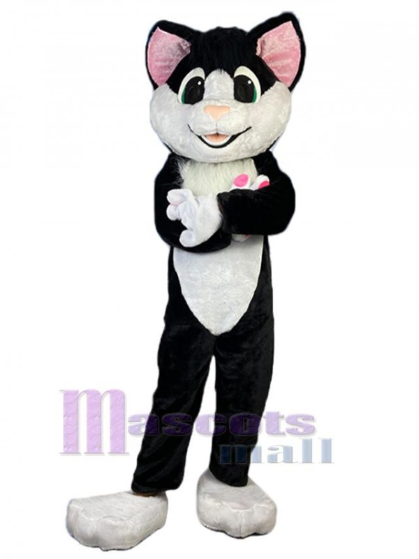 Chat costume de mascotte