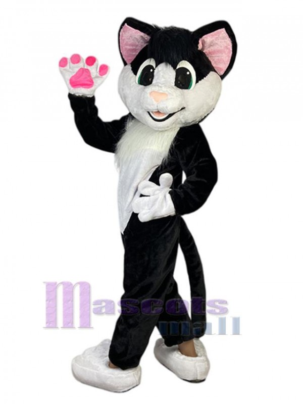 Chat costume de mascotte