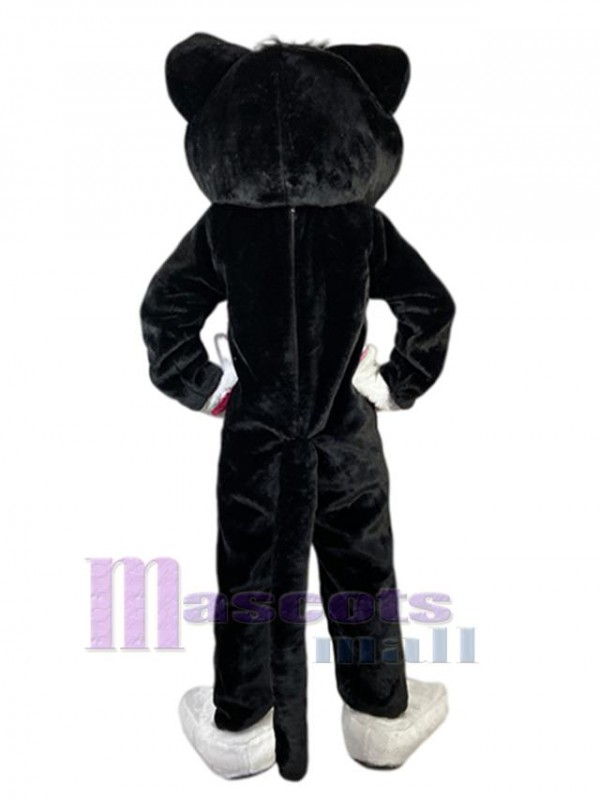 Chat costume de mascotte