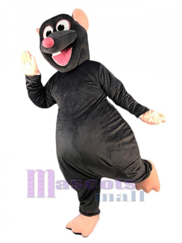 Rat Souris costume de mascotte
