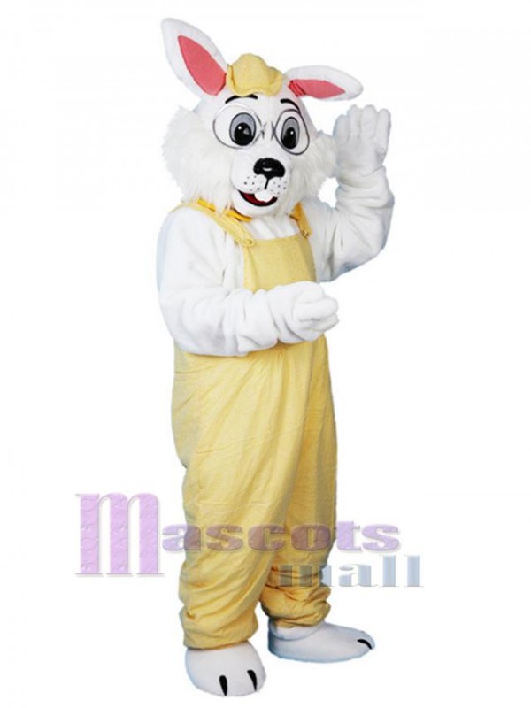 Lapin costume de mascotte