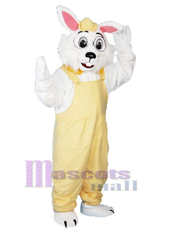 Lapin costume de mascotte
