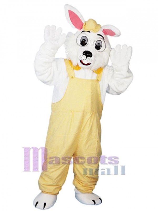 Lapin costume de mascotte