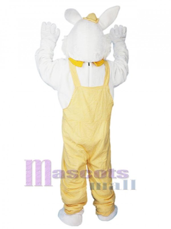 Lapin costume de mascotte