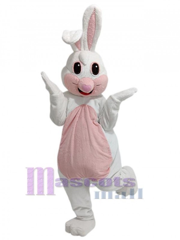 Lapin costume de mascotte